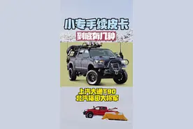 小专手续皮卡都有啥#皮卡大叔 #汽车人共创计划 @勘路者服务 @勘路者小佳 @勘路者汽车视频封面