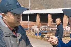 国宝级优良品种辽宁绒山羊，禁止出口#辽宁热门榜 #新农人计划2021 #乡村大师课 @李晓东视频封面