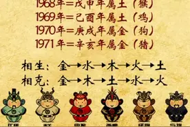 你出生那一年就代表着你的五行。@抖音短视频 #正能量 #国学 #十二生肖