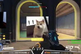 【守望网骗】清纯主播遇到老司机陪玩（下）#守望先锋视频封面