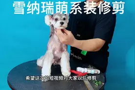 今日为大家分享，雪纳瑞萌宠造型