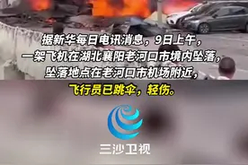 一架飞机在湖北襄阳掉落，飞行员跳伞受轻伤。@抖音短视频视频封面