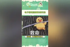 原来结婚的那个电子请柬，不仅能查看访客记录，还能看到来访次数😂😂😂#娱乐评论大赏 