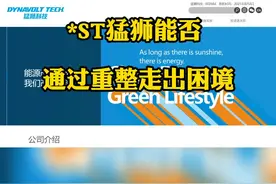 *ST猛狮能否通过重整走出困境 #猛狮科技 #铅锂电池 #上市公司 #亏损 视频封面