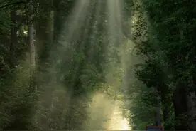 当丁达尔效应出现，光就有了形状。#醒图一下 #丁达尔效应 #光的方向