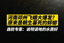 8月14日，河南邓州一地出现铺天盖地的“飞蛾”。邓州市森防站：这是蜉蝣，出现得越多，说明该地的水质越好。