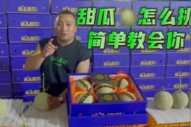 好吃的甜瓜🍈怎么挑选，2点教你不踩坑#水果 #哈密瓜 #农业视频封面