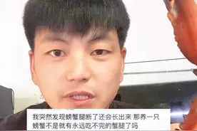 #小七歌 螃蟹断腿从生，然后吃腿在从生可能吗？实验开始。#螃蟹🦀