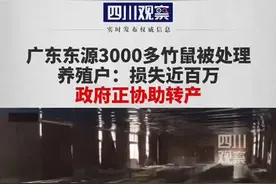 #禁食竹鼠 广东东源3000多竹鼠被处理，养殖户损失近百万，不得不转产。大家都很难……