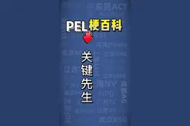 PEL梗百科之关键先生，关键时刻你永远可以相信Paraboy！#吃鸡 #pel梗百科 #小帅赛事解说 视频封面