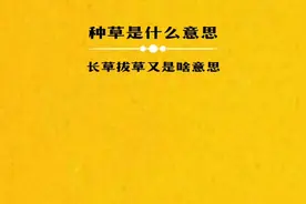 种草、长草、拔草网络上是什么意思？#冷知识#知识分享