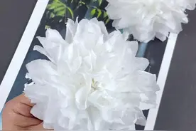 清明节要到了，教你用纸巾做一朵漂亮的小白花，缅怀先烈，祭奠英雄#幼儿园手工  #知识创作人 #手工 #育儿 #亲子手工 #废物利用 #折纸 #清明节手工#清明节缅怀先烈 #抖音小助手视频封面