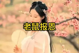 听老王讲故事：《老鼠报恩》 #民间故事 #故事会 #民间传说视频封面