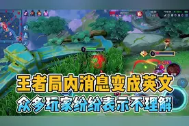 王者局内消息变成英文，众多玩家纷纷吐槽不习惯#王者