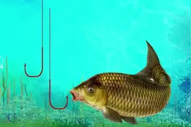 钓鲤鱼看漂抓口技巧，鲤鱼咬钩的4种漂相！#钓鲤鱼技巧视频封面