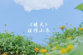 『故事的小黄花从出生那年就飘着』#旺仔小乔 #弹唱 #晴天视频封面