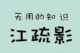 江疏影的始末，我了解了！#无用的知识