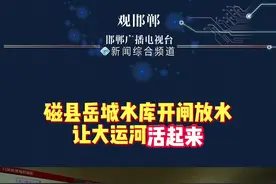 磁县岳城水库开闸放水让大运河活起来#河北dou知道 #水库 