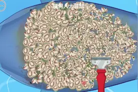 #脑洞人大冒险 全身上下都舒服了#清理藤壶 #解压