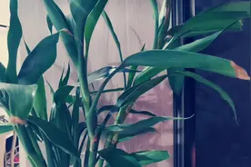 设计的本质很简单，就是设定目标，提供解决方案。设，即设定