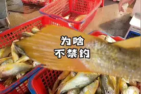 休渔期为什么还可以钓鱼？#华哥说海鲜视频封面