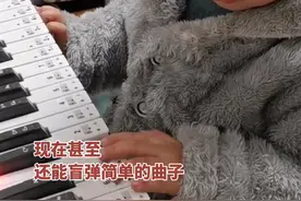 看不懂谱子又怎样！三岁自闭症患儿，通过看视频和模仿老师，学会弹奏多首曲目，还能试着盲弹！视频封面