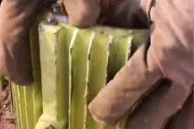 Y系列7.5KW2极电机拆解实战#电机 #机械设备 #废铜