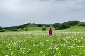 郑州自驾1100公里到达内蒙古乌兰布统草原视频封面