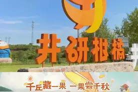 乐山市井研柑橘—“千丘藏一果，一果尝千秋”视频封面