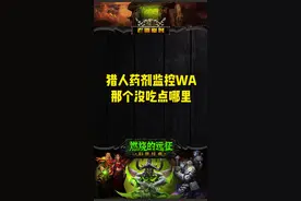 猎人药剂监控WA，那个没吃点哪里！#魔兽世界怀旧服 #老雷魔兽 #tbc怀旧服 #燃烧的远征 #游戏 