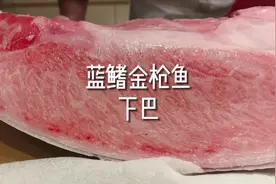 蓝鳍金枪鱼下巴-小众的东西一定是有明显的优缺点 #蓝鳍金枪鱼视频封面