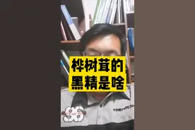 #桦树茸 的黑精是啥？ 我们毫不掩饰桦树茸有很多功效#桦树茸的功效