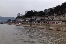 江津新打卡网红地，海鸥大迁徙。从江津几江大桥迁徙到米邦陀视频封面