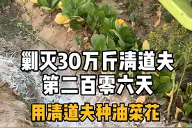 大家还有什么#清道夫价值的再利用吗？下次拿来嚼碎当花肥@抖音短视频 #dou上热门