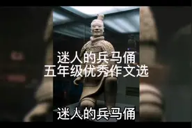 迷人的兵马俑 五年级优秀作文选视频封面