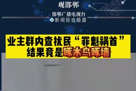 业主群内查扰民“罪魁祸首”  结果竟是啄木鸟啄墙 视频封面