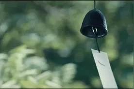 用友T+如何填制付款单？#用友erp #会计培训 #会计实操 #记账报税