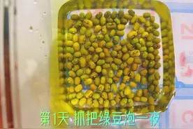 #绿豆发芽观察日记 孩子每天的任务视频封面