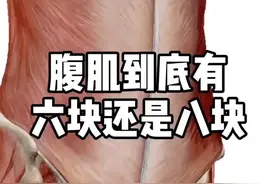 #腹肌 到底有六块还是八块？#健康 #健身 #涨知识 @抖音短视频