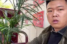 花盆里倒茶叶水是有好处还是有坏处呢？#养花人的乐趣视频封面