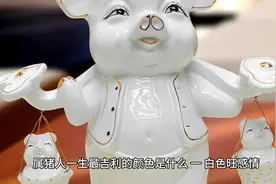 #生肖属猪人的幸运色和禁忌色视频封面