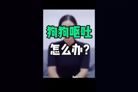 狗狗的4种呕吐情况是这样解决的，你学会了么？视频封面