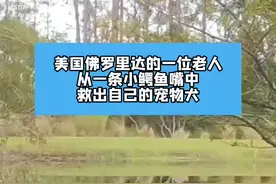 美国74岁老人从鳄鱼嘴中救出爱犬，牛人！

#救人瞬间 #动物保护 #救助 视频封面