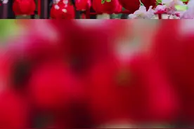 半世烟雨随风逝，才觉梦醒是场空。醉死花间含春笑，多少多情不言中。#诗词#古风#静看花开花落 @抖音短视频 视频封面