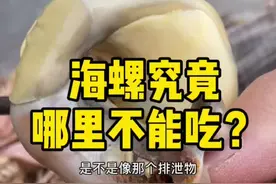 为什么有人吃海螺的时候吃的很香，有些人吃海螺的时候却觉得发苦发辣，其实是吃了海螺不该吃的地方。@DOU+小助手视频封面