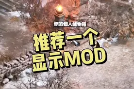 推荐个#暗黑破坏神2重制版 物品显示MOD，背包直接就看到符文数字！#暗黑2 #游戏 