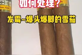 如何处理发霉的雪茄~古巴雪茄#雪茄 #雪茄知识 #古巴雪茄