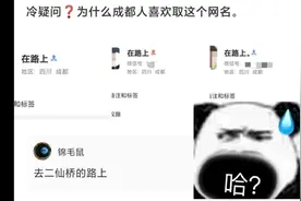 成都的“在路上”是什么梗 #专治不开心 #网友神评论