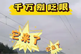 数数这列列车有多少节