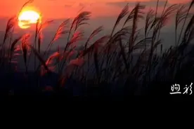 #黑莲花攻略手册 #煦衫 